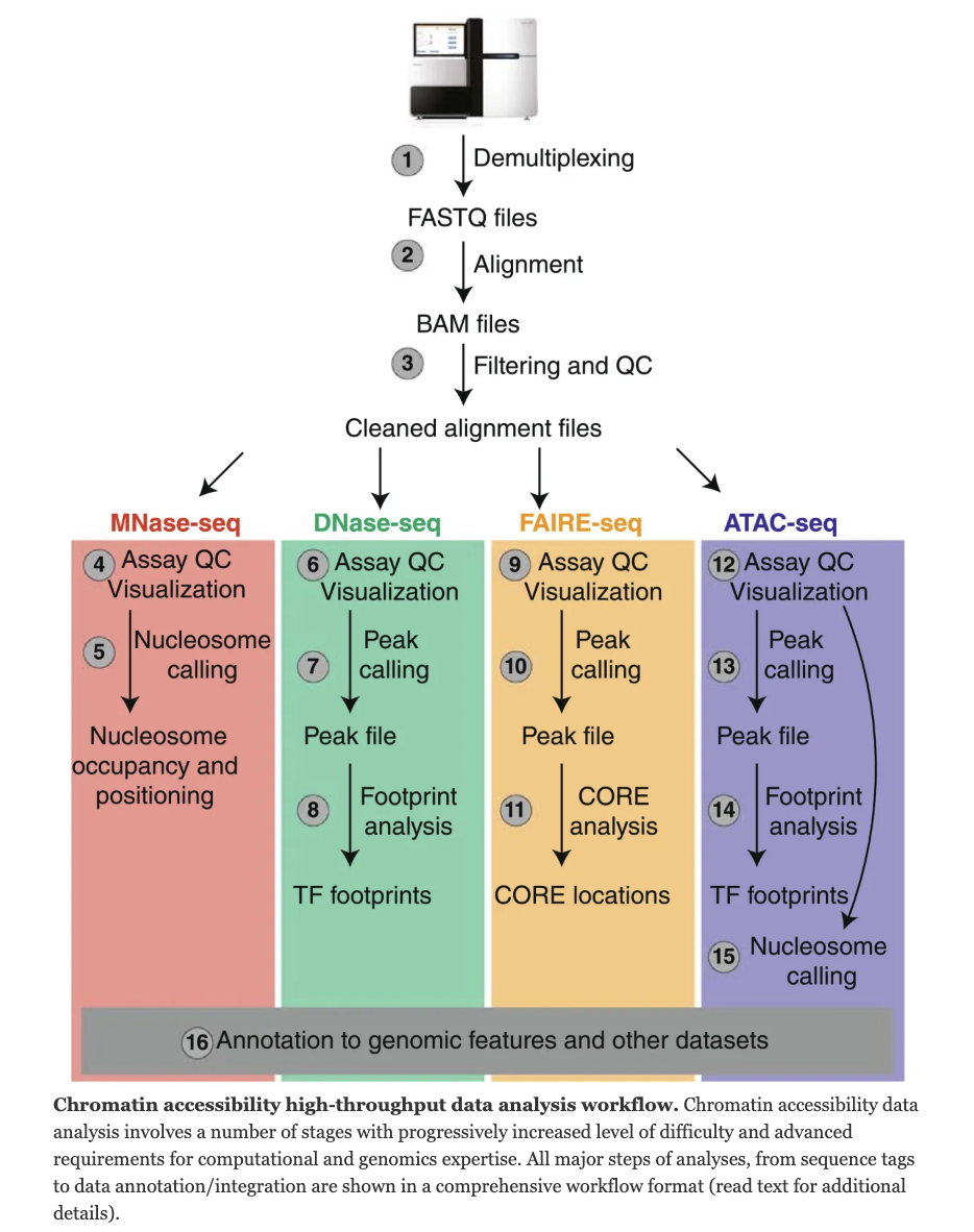 Chromatin accessibility high-throughput data analysis workflow