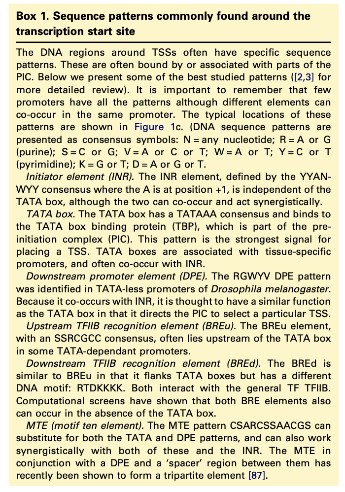 Sequence patterns commonly found around the transcription start site