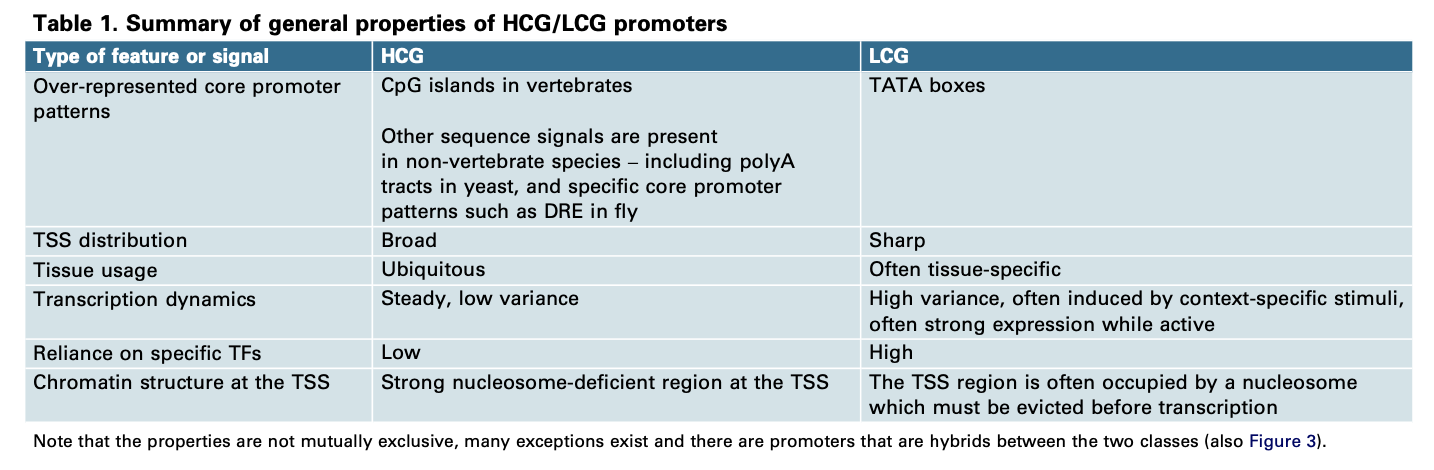 Summary of general properties of HCG/LCG promoters