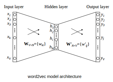 word2vec model architecture